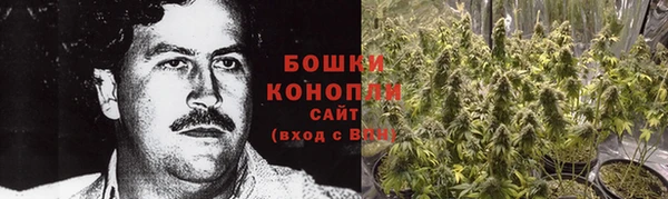 тгк Медногорск